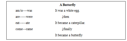 2017�ϰ���СѧӢ���ʦ�ʸ�֤��������